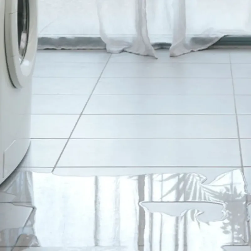 Appliance Leak Cleanup in Altamont, IL