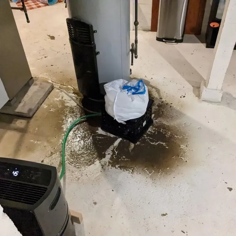 Sewage Backup Cleanup Service in Altamont, IL